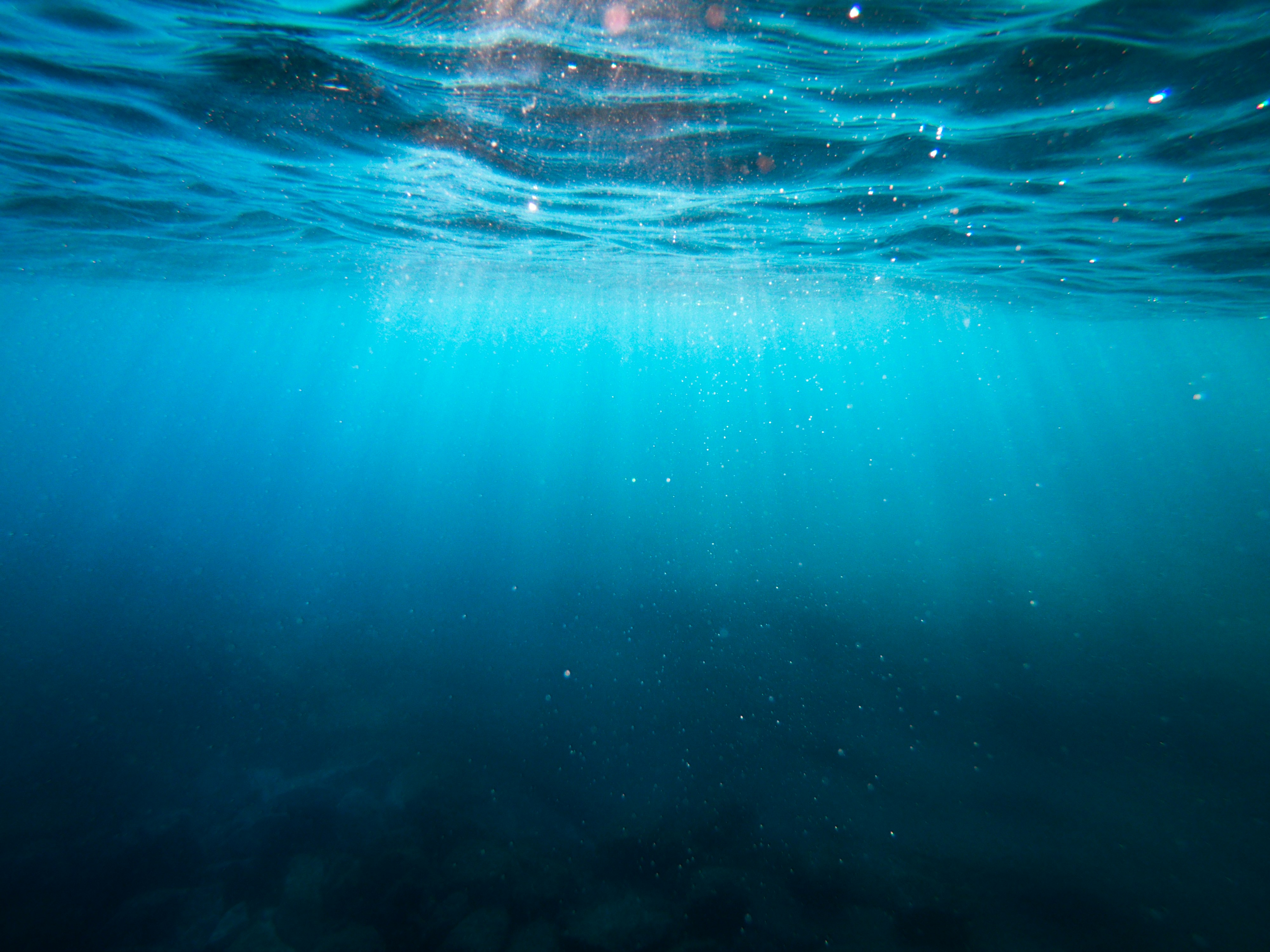 Underwater surface picture Photo by Cristian Palmer on Unsplash